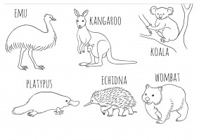 emu kangaroo koala platypus echidna wombat thumbnail