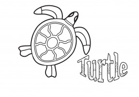 turtle thumbnail